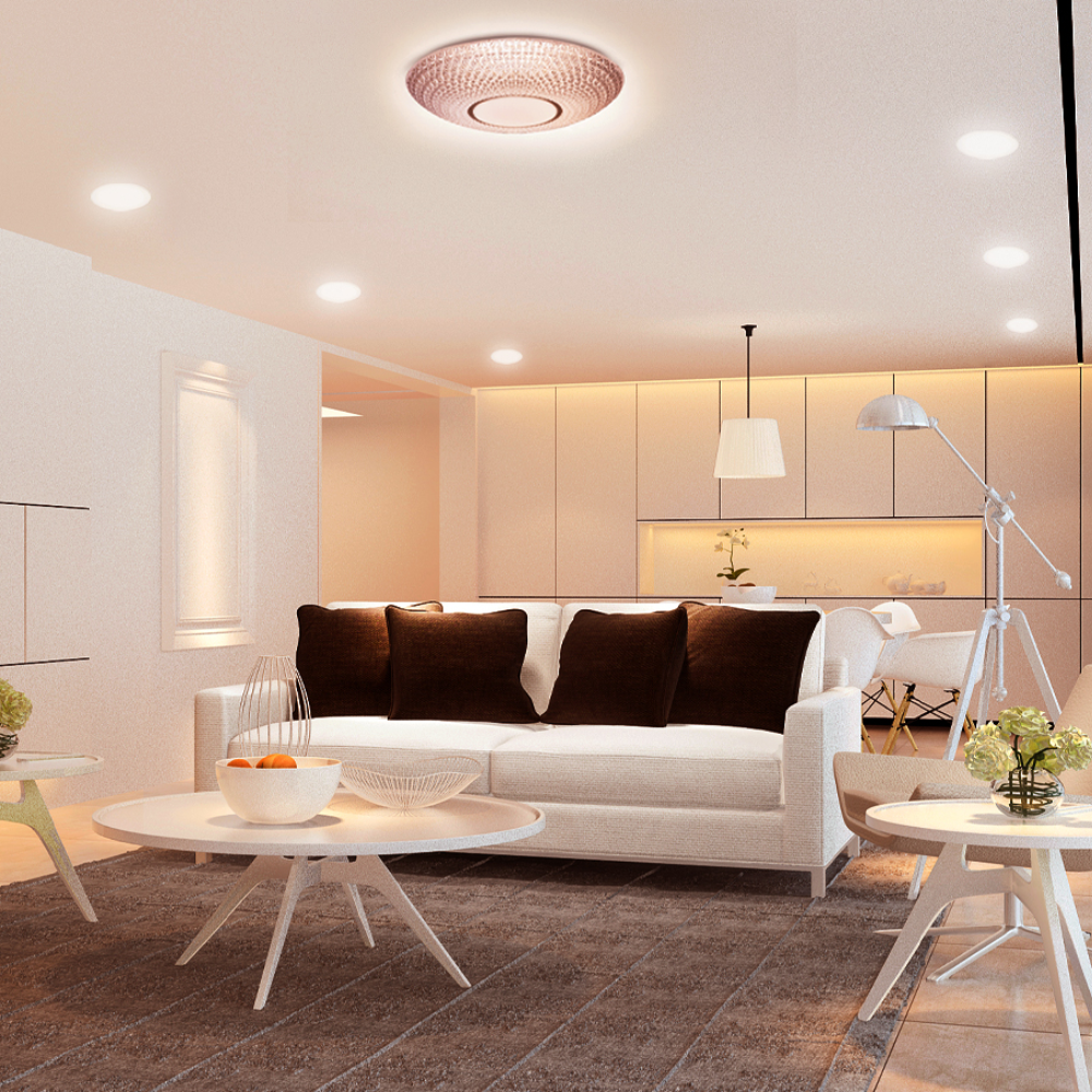 Bộ đèn LED ốp trần cao cấp Điện Quang ĐQ LEDCCL25 48Dim (48W,D510,điều chỉnh nhiệt độ màu và độ sáng bằng remote)