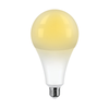 Đèn LED Bulb công suất lớn Điện Quang ĐQ LEDBU11 (40W/30W, chụp cầu mờ)