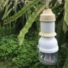 Đèn Led Bulb Chuyên Dụng Thanh Long Điện Quang ĐQ LEDBUTL 04RB NN (4W, Đỏ Xanh, chụp trong)