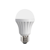 Đèn LED bulb thân nhựa Điện Quang chụp cầu mờ 3W/5W/7W/9W