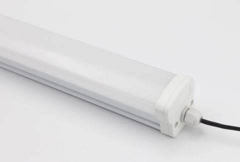 Bộ đèn LED Chống thấm Điện Quang ĐQ WP04 1200 36