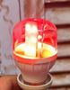 Đèn Led Bulb Chuyên Dụng Thanh Long Điện Quang ĐQ LEDBUTL 04RB NN (4W, Đỏ Xanh, chụp trong)