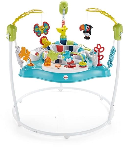  Ghế nhún Fisher-Price Animal Wonders Jumperoo, Multi 