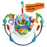  Ghế Nhún Baby Einstein Neighborhood Symphony Activity Jumper 