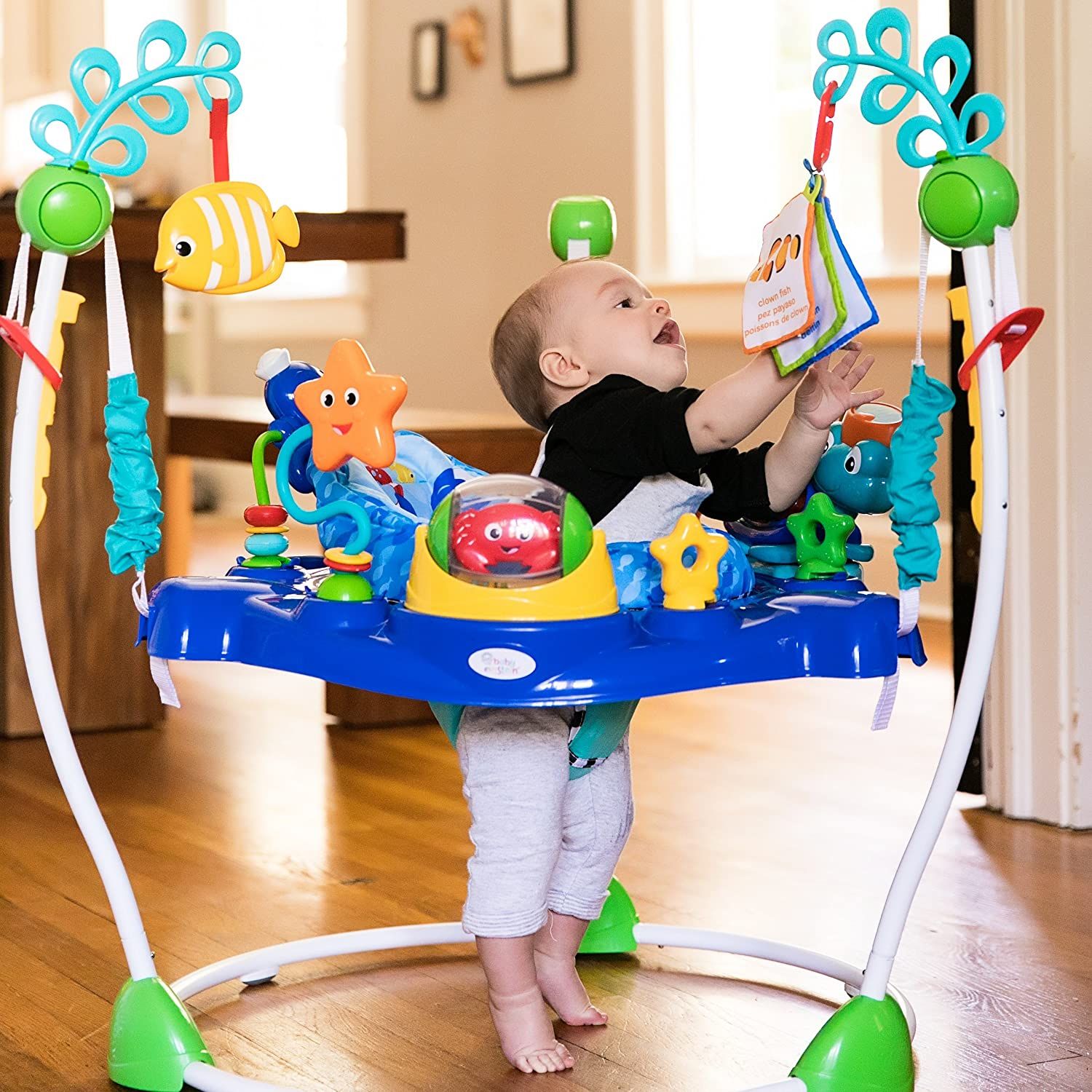  Ghế nhún Baby Einstein Neptune's Ocean Discovery Jumper 