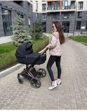  Xe đẩy CYBEX Priam 4 (Thế hệ mới) - Rose Gold/Grey 