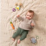  Set 3 Món Đồ Chơi Treo Cũi, Xe Đẩy Phát Triển Vận Động Taf Toys Activity Toys Kit 