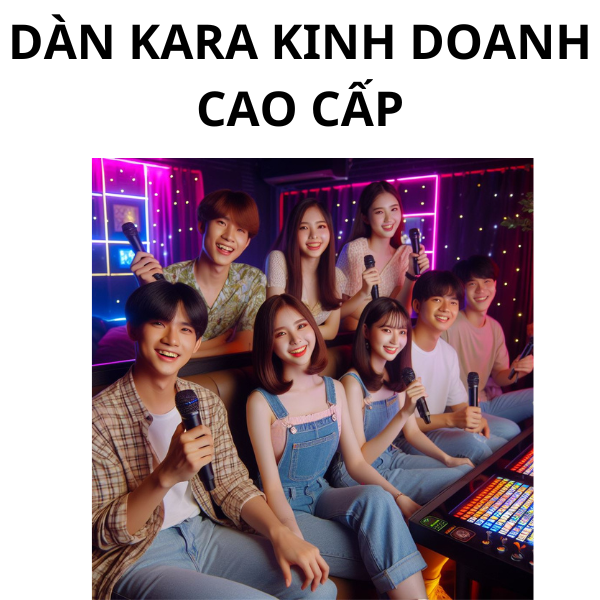 Dàn Karaoke Kinh Doanh Cao Cấp – VIDIA