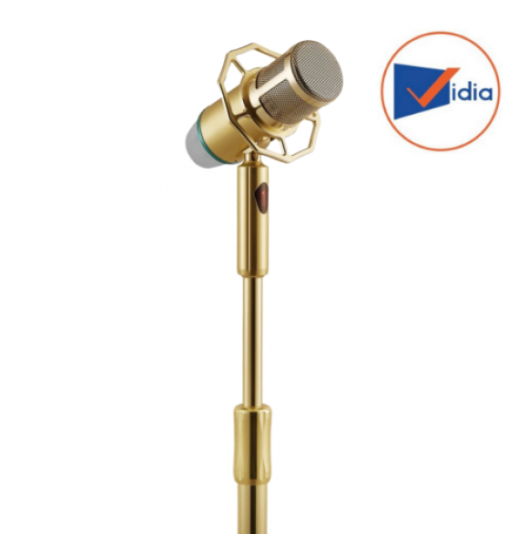 Micro karaoke đứng Bonus MD6