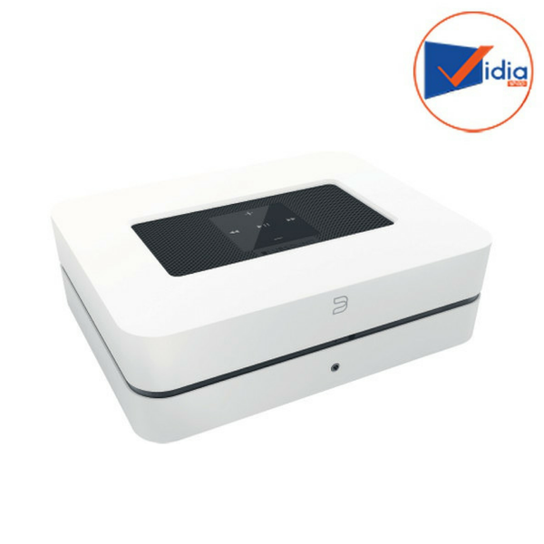 AMPLY-DAC BLUESOUND POWER NODE 2