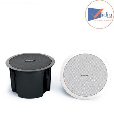 Bose DS 100F – VIDIA