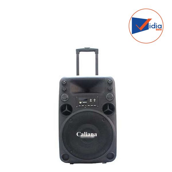 CALIANA ELECTRONICS T012