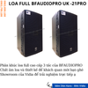 Loa BFAUDIOPRO UK -21PRO