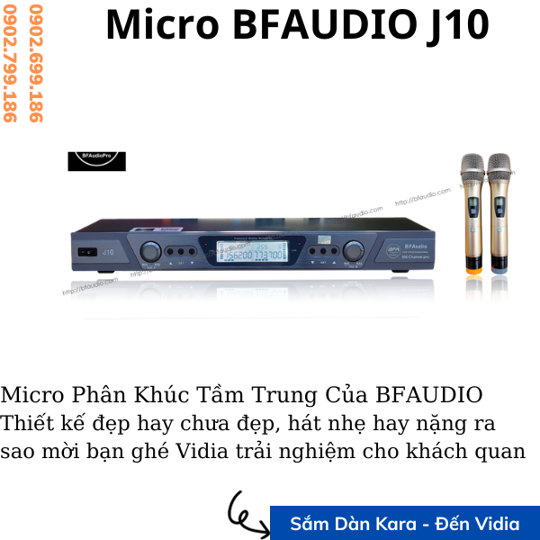 BFAUDIO PRO J10