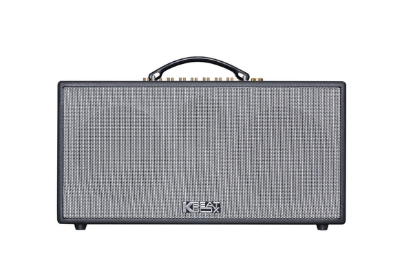 Loa Acnos CS447R PLUS
