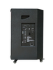 Loa ACNOS CB40T600N