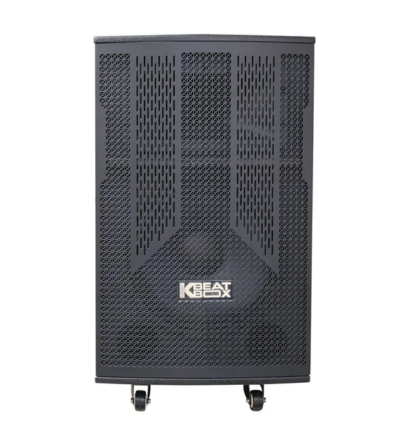 Loa ACNOS CB302G