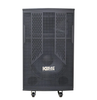 Loa ACNOS CB302G