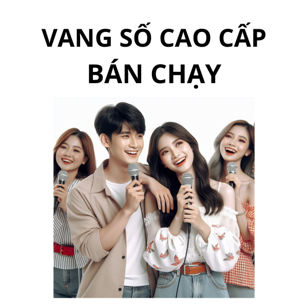 Mixer Karaoke Cao Cấp Bán Chạy Vidia