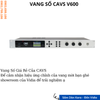 Vang số CAVS V Seri