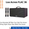 Loa ACNOS FLAC 36