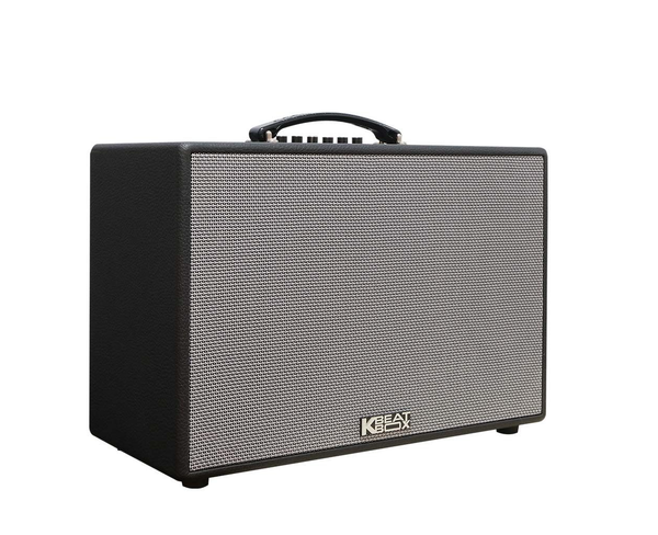 Loa ACNOS CS250PUW