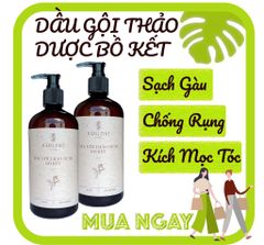 Dầu Gội Thảo Dược Bồ Kết : Mềm mượt, trị gàu, giảm rụng tóc, kích thích mọc tóc