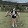 Luxy 123