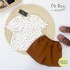 Set bộ đồ hoa nhí quần nâu H223