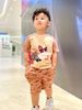 Đồ bộ thun cá mập cho bé trai màu nâu BTR137