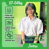  Áo sơ mi học sinh nữ bèo ngực trắng kem - GDP044 