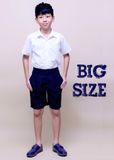  Áo sơmi tay ngắn học sinh xếp li big size vải cotton mềm mại, thấm hút mồ hôi tốt - TDP004 