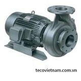 Máy bơm nước Teco G30-25-2P-0.5HP