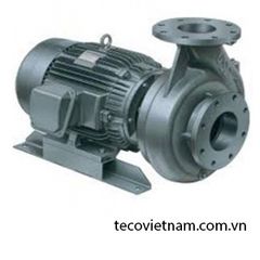 Máy  bơm nước Teco G32-65-2P-2HP