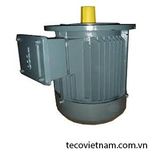 Motor Teco mặt bích (0.75-45kw/1500RPM)