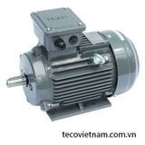 Động cơ điện Teco ( 0.75-45kw /1500 RPM)