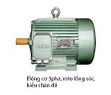 Động cơ điện việt hung (Hem-vihem) 3pha