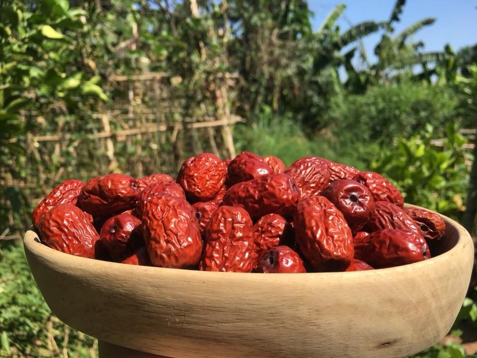 Những bí mật về táo đỏ Tân Cương chắc chắn bạn sẽ bất ngờ Những bí mật về táo đỏ Tân Cương chắc chắn bạn sẽ bất ngờ