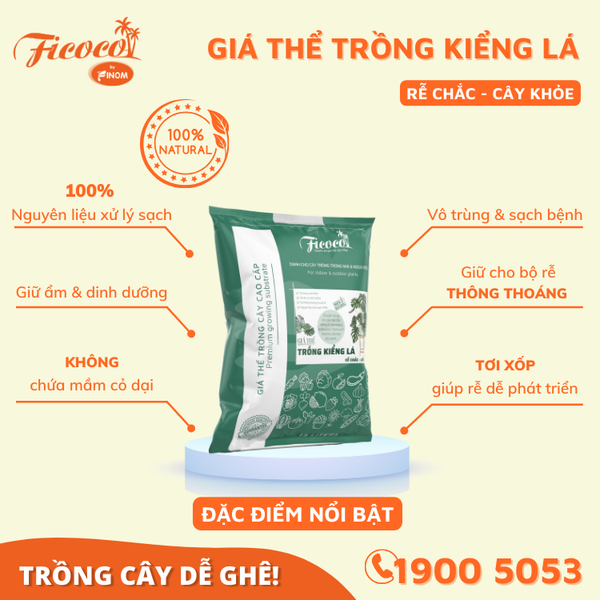 GIÁ THỂ TRỒNG KIỂNG LÁ - 15L