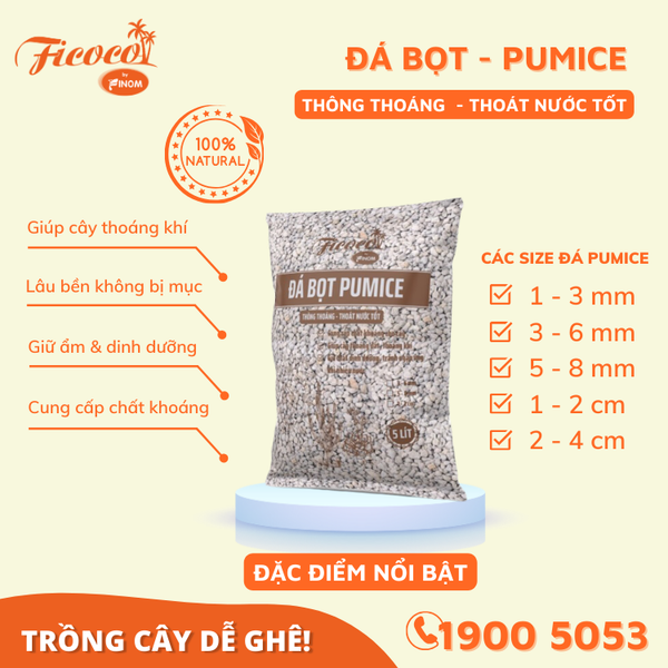 ĐÁ PUMICE - ĐÁ BỌT - 5L