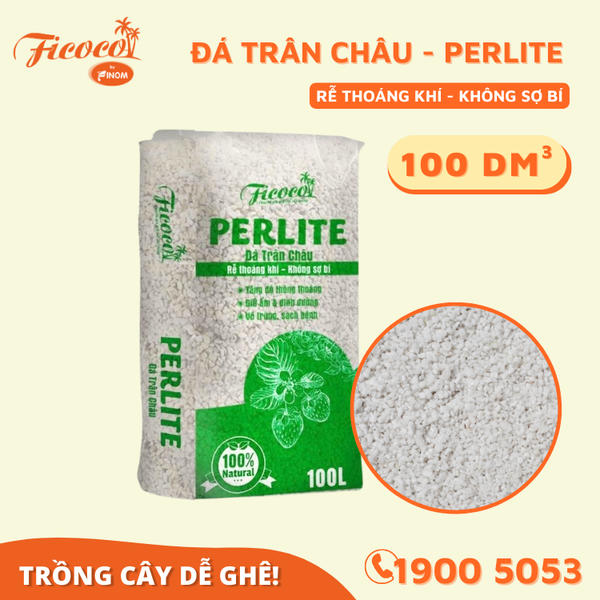 ĐÁ PERLITE (TRÂN CHÂU) - 100L