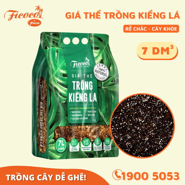 GIÁ THỂ TRỒNG KIỂNG LÁ - 7L