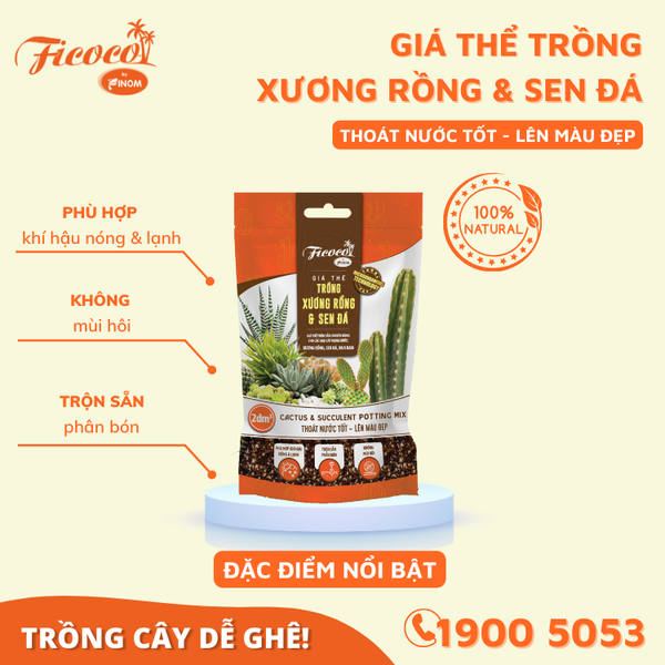 GIÁ THỂ TRỒNG XƯƠNG RỒNG & SEN ĐÁ - 2L