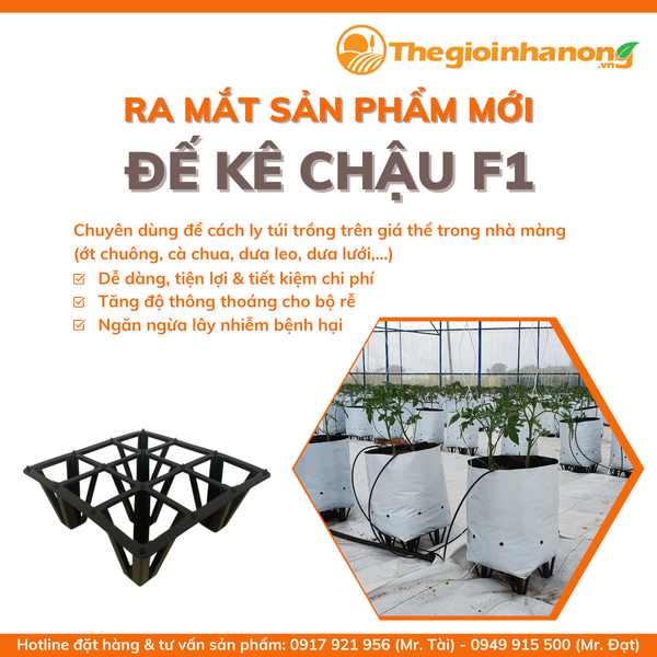 ĐẾ KÊ CHẬU F1