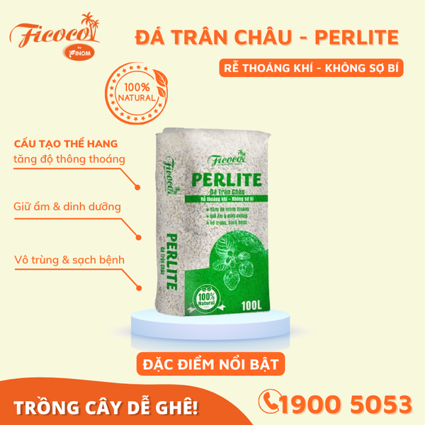 ĐÁ PERLITE (TRÂN CHÂU) - 100L