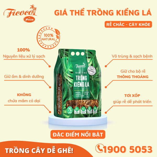 GIÁ THỂ TRỒNG KIỂNG LÁ - 7L