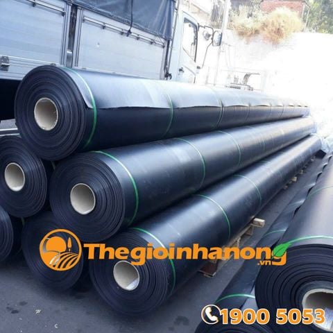 Bạt chống thấm HDPE