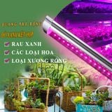 ĐÈN LED CHO RAU (VEGETABLES LED 18W)