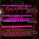 ĐÈN LED CHO RAU (VEGETABLES LED 18W)