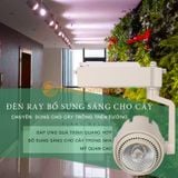 ĐÈN LED RAY DẠNG ỐNG CHO CÂY COB 32W